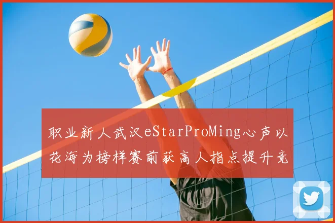 职业新人武汉eStarProMing心声以花海为榜样赛前获高人指点提升竞技状态