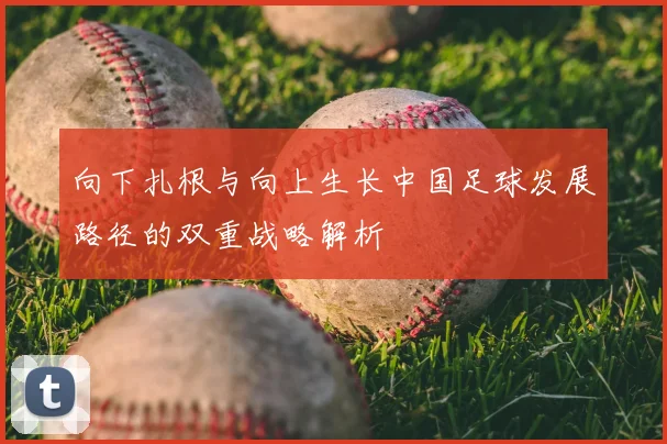 向下扎根与向上生长中国足球发展路径的双重战略解析